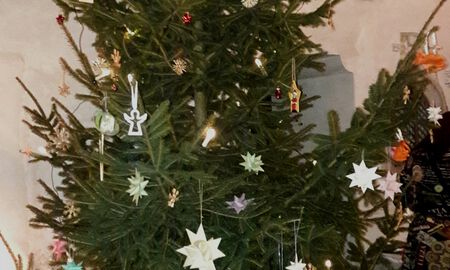 Bild Weihnachtsbaum